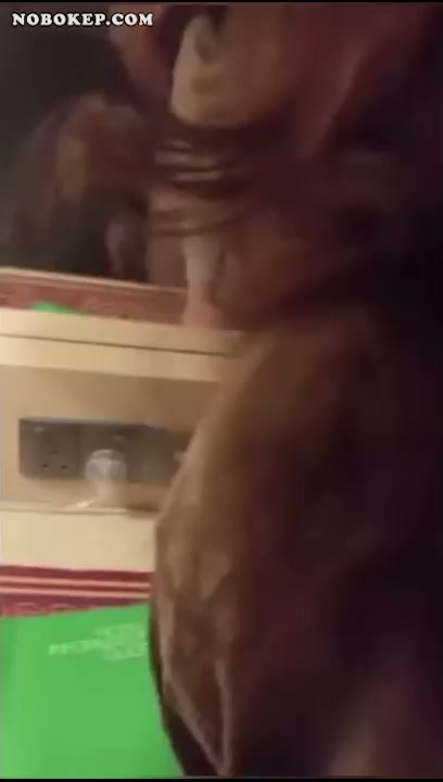 Bokep Indo Ngentot Farahin Ukhti Cantik Montok Viral